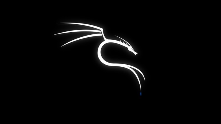Everything About Kali Linux OS