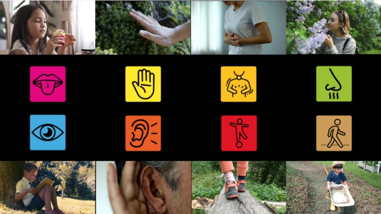 Discover Sensory Processing and Integration