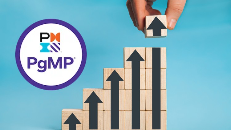 PMI PgMP Program Management Professional Practice Test 2025