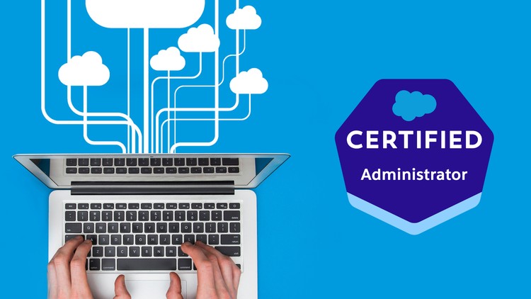 Salesforce Certified Admin (ADM 201 | ADM-201) Tests | 2024