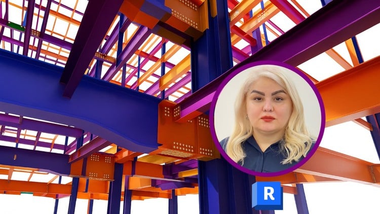 BIM Revit Structure: Steel Project + Details & Shop Drawings
